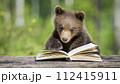 cute brown bear cub reading book in the woods, 16:9 widescreen backdrop / wallpaper 112415911