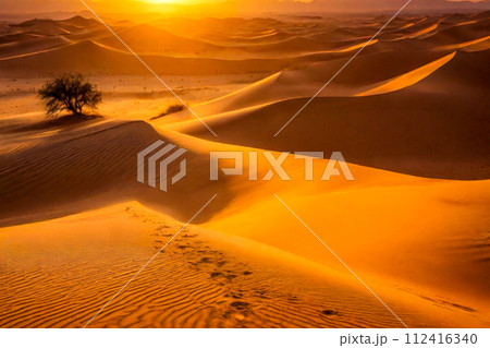 sunset in the desert sunset in the desert 112416340