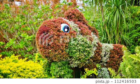 沖縄美ら海水族館 花のオブジェ 沖縄美ら海水族館 花のオブジェ 112416503
