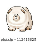 チャウチャウ 112416625