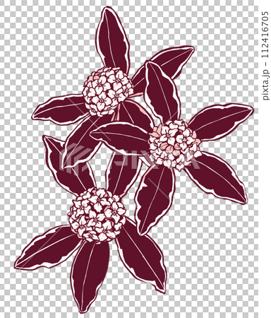 Vertically arranged variegated sunflowers, brush painted and painted in two colors 112416705