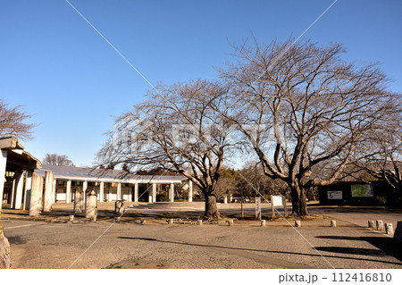 大串貝塚公園内の埋蔵文化財センター 大串貝塚公園内の埋蔵文化財センター 112416810