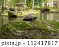 岐阜公園のカメの像 112417817