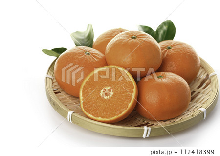 高級みかん はまさき 佐賀県産(白バック) 高級みかん はまさき 佐賀県産(白バック) 112418399