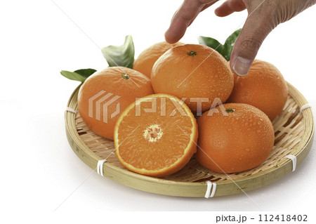 高級みかん はまさき 佐賀県産(白バック) 高級みかん はまさき 佐賀県産(白バック) 112418402