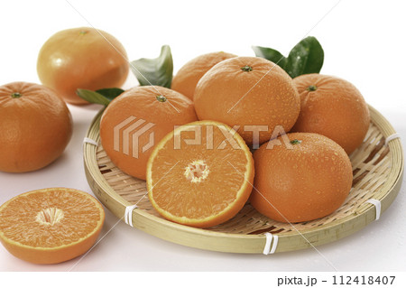 高級みかん はまさき 佐賀県産(白バック) 高級みかん はまさき 佐賀県産(白バック) 112418407