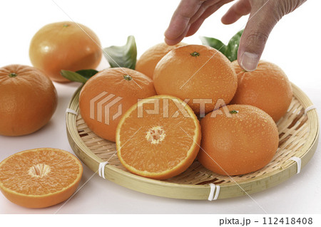 高級みかん はまさき 佐賀県産(白バック) 高級みかん はまさき 佐賀県産(白バック) 112418408