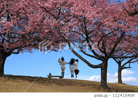 河津桜咲く丘でジャンプする女性たち 112418409