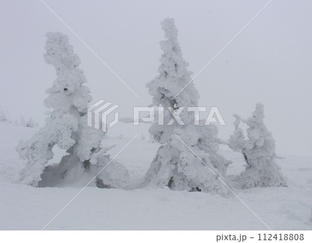 八甲田山の樹氷　八甲田　国立公園　青森県 112418808