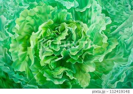 Butter lettuce isolated on white background. Fresh green salad leaves from garden 112419148