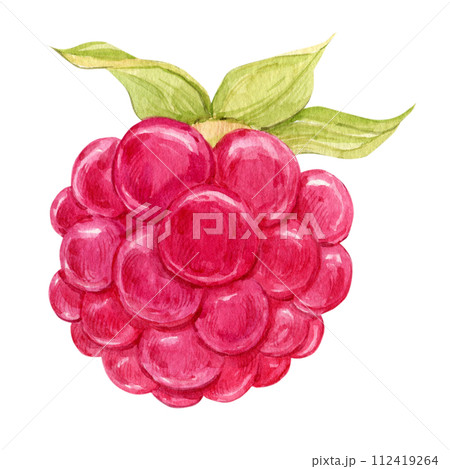 Raspberry watercolor illustration on a white background. Fresh red berry, ripe organic product. Seasonal plant, source of vitamins, healthy diet. Vegetarian food. For packaging design, labels. 112419264