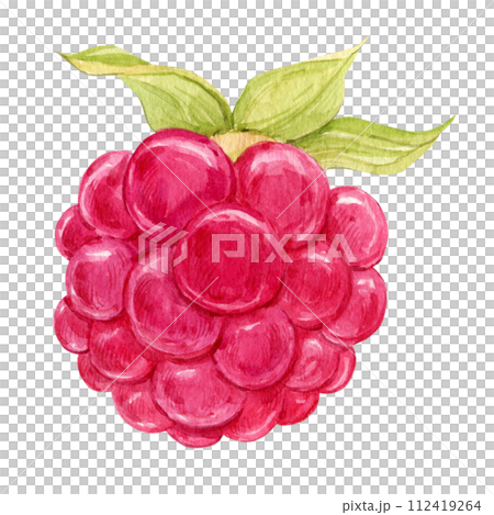 Raspberry watercolor illustration on a white background. Fresh red berry, ripe organic product. Seasonal plant, source of vitamins, healthy diet. Vegetarian food. For packaging design, labels. Raspberry watercolor illustration on a white background. Fresh red berry, ripe organic product. Seasonal plant, source of vitamins, healthy diet. Vegetarian food. For packaging design, labels. 112419264