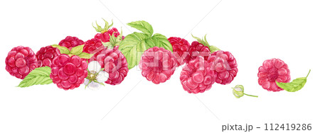 There is a composition of ripe raspberries on the table. Watercolor illustration on a transparent background. Ripe berries fell from the branch, harvest on the farm. Clipart for yogurt, tea, dessert. 112419286