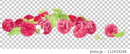 There is a composition of ripe raspberries on the table. Watercolor illustration on a transparent background. Ripe berries fell from the branch, harvest on the farm. Clipart for yogurt, tea, dessert. 112419286