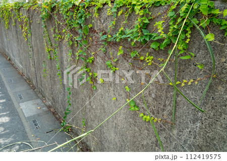 various 112419575