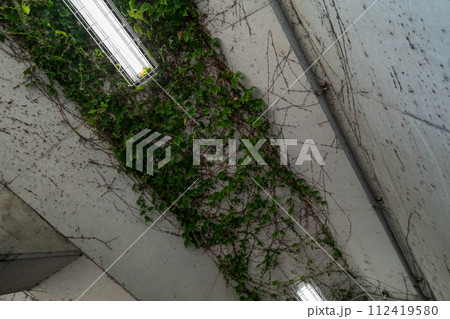 various various 112419580