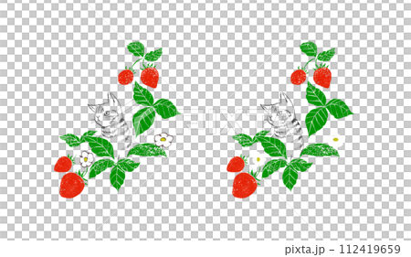 ハンコ風のグランジ加工を施したイチゴと猫のイラストフレーム(薄色背景・濃色背景用) ハンコ風のグランジ加工を施したイチゴと猫のイラストフレーム(薄色背景・濃色背景用) 112419659