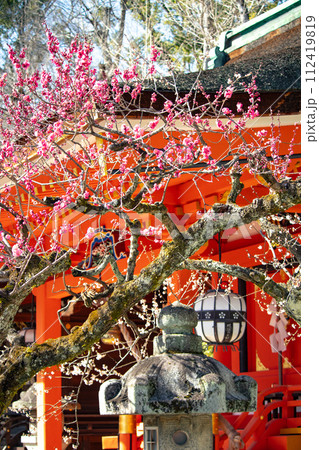 【京都風景】北野界隈　春を待つ梅の花の可憐な姿 112419819