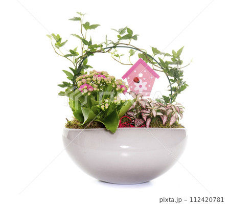 floral and plant composition 112420781