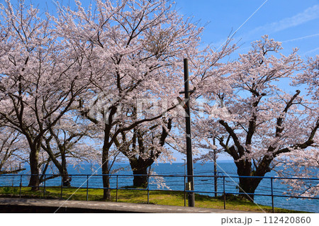 桜景 能登鹿島駅 桜景 能登鹿島駅 112420860