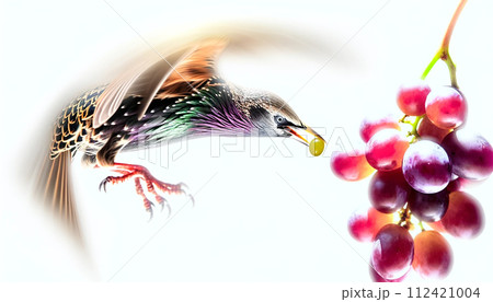 すがすがしさ 新鮮 さわやか 112421004