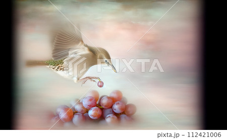 すがすがしさ 新鮮 さわやか 112421006