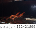 エビの塩焼き 112421899