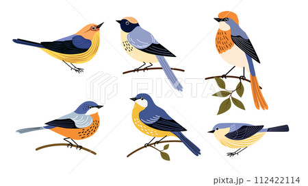 Set of decorative birds hand draw flat style Set of decorative birds hand draw flat style 112422114