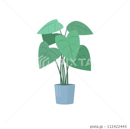 A big decorative houseplant growing in pot. Colorful flat isolated illustration. Home and office interior design 112422443
