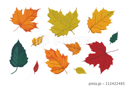 A vibrant colorful set of fallen maple leaves, flat design style, collection of editable objects on white background A vibrant colorful set of fallen maple leaves, flat design style, collection of editable objects on white background 112422485
