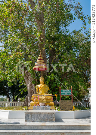 菩提樹　ワット・ニウェート・タンマプラワット　バンパイン宮殿　タイ王国アユタヤ県 112422773