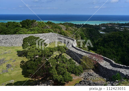 今帰仁城跡の桜 今帰仁城跡の桜 112423031