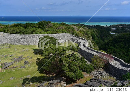 今帰仁城跡の桜 112423058