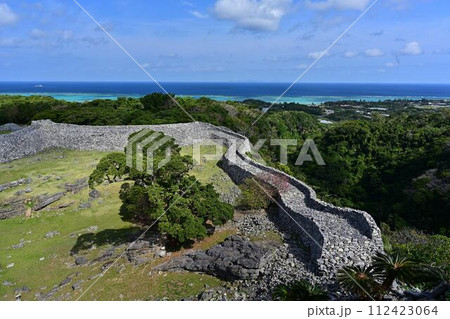 今帰仁城跡の桜 112423064