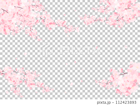 櫻花花瓣落下的背景材料 櫻花花瓣落下的背景材料 112423893
