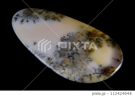 デンドリティック・アゲート 風景を宿す石 112424048