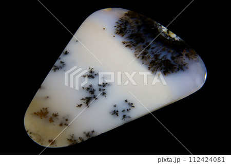 デンドリティック・アゲート 風景を宿す石 112424081