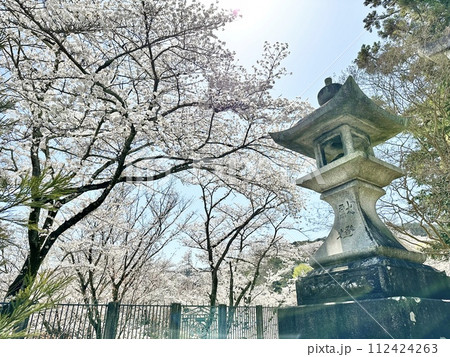 琵琶湖疏水付近の三尾神社境内 112424263