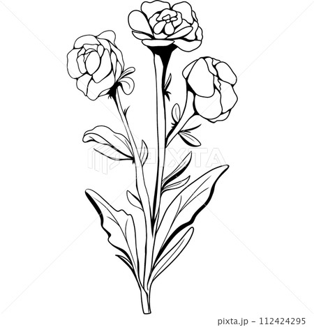 Flower Flower 112424295