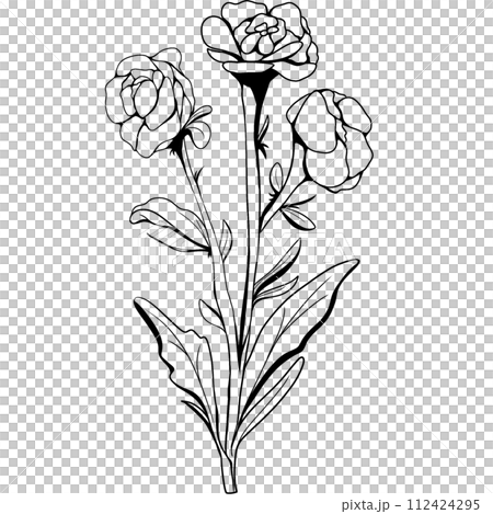 Flower Flower 112424295