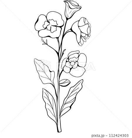 Flower Flower 112424303