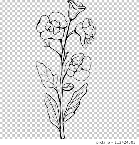 Flower Flower 112424303