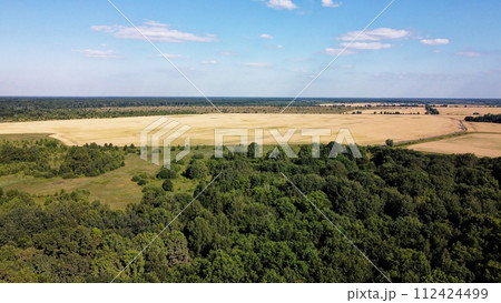 Green deciduous forest next to a farm field. Landscape from a bird's eye view. Sunny weather. Green deciduous forest next to a farm field. Landscape from a bird's eye view. Sunny weather. 112424499