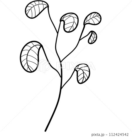 Flower Flower 112424542