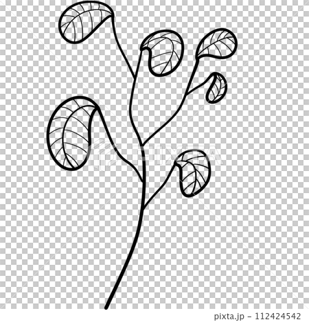 Flower Flower 112424542