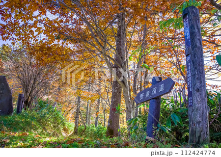 旧野麦街道の鮮やかな紅葉【県境・お助け小屋周辺】 112424774