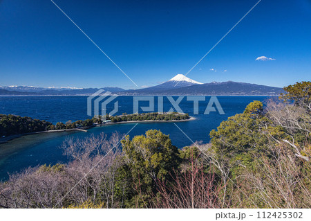 【静岡県_伊豆_大瀬崎】駿河湾越しの富士山・南アルプスが絶景 112425302