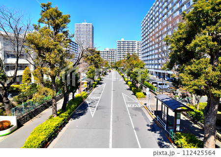 光が丘／光が丘春の風小学校周辺(東京都練馬区)【2024.3】 112425564