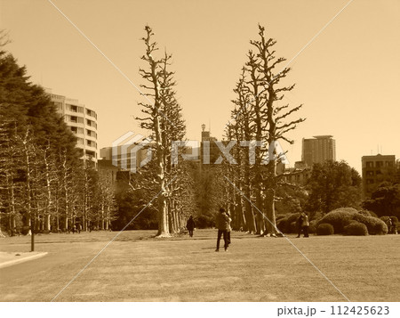 ノスタルジーな整形式庭園 112425623