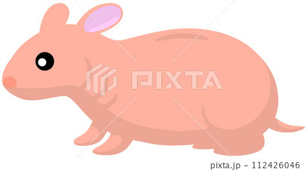 スキニーハムスター 112426046